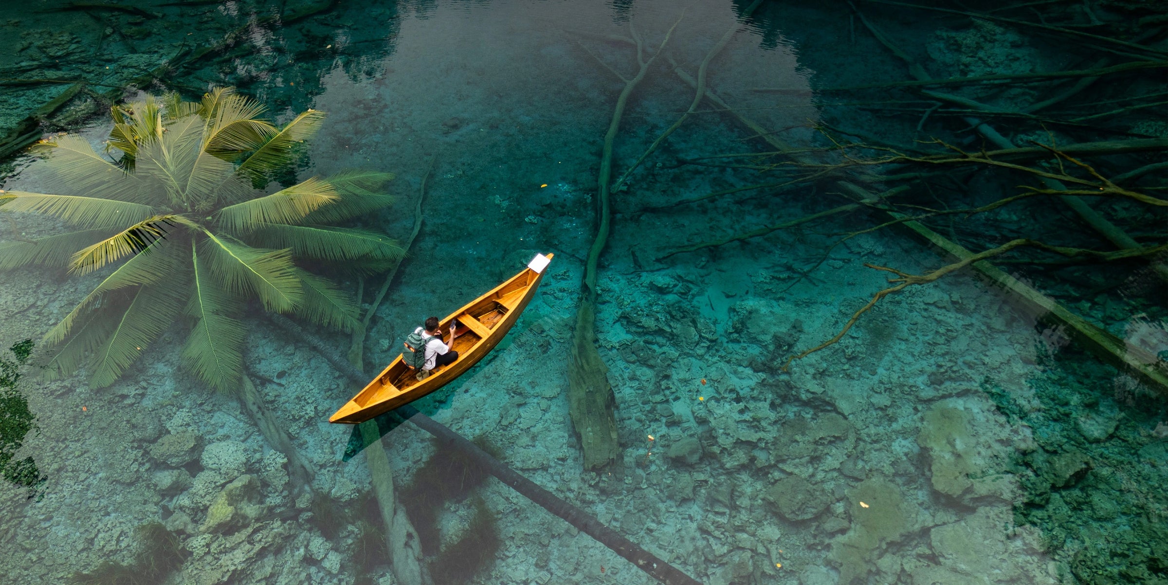 VIAJE COM A STARLINK