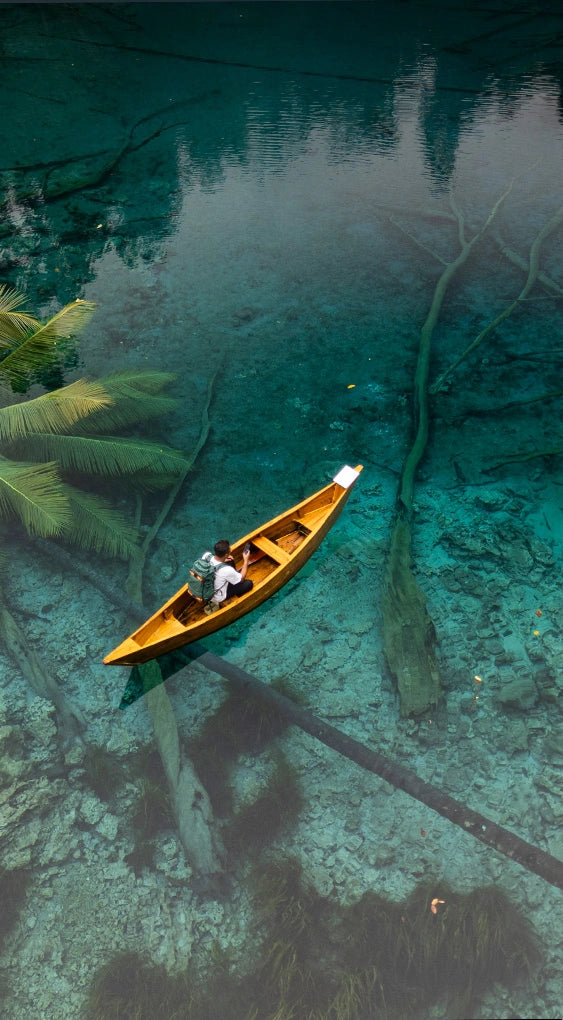 VIAJE COM A STARLINK